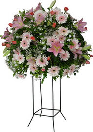 ferf�rje perf�rje d���n nikah a��l�� �i�ekleri Ankara �i�ek�i sat��� sitemizden