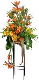 ferf�rje perf�rje d���n nikah a��l�� �i�ekleri Ankara �i�ek sat��� site �r�n�m�z 