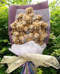 17 adet ay�dan olu�mu� g�rsel ay� buketi