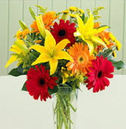 2 dal kazablanka ve 9 adet gerbera �i�ek vazosu